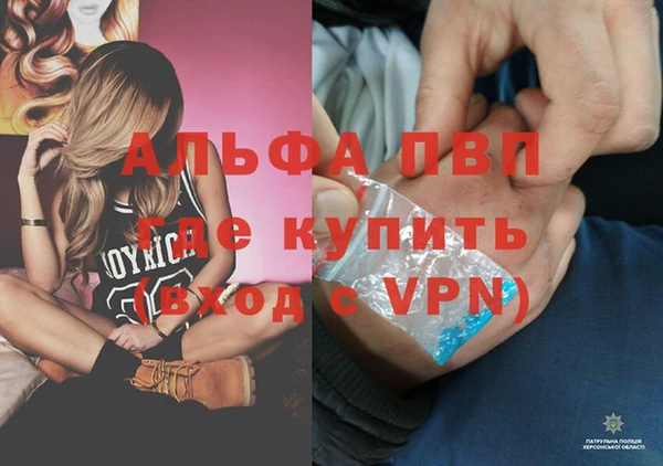 стафф Баксан