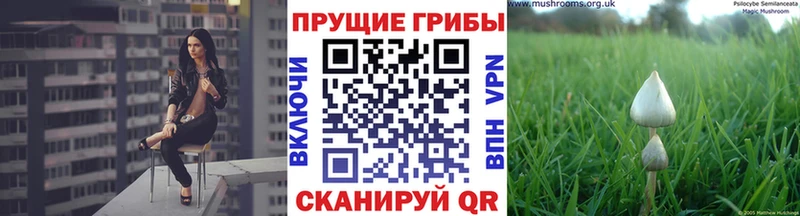 hydra зеркало Галич Псилоцибиновые грибы прущие грибы